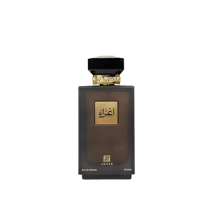 Ighra'a Ahmed Al Maghribi